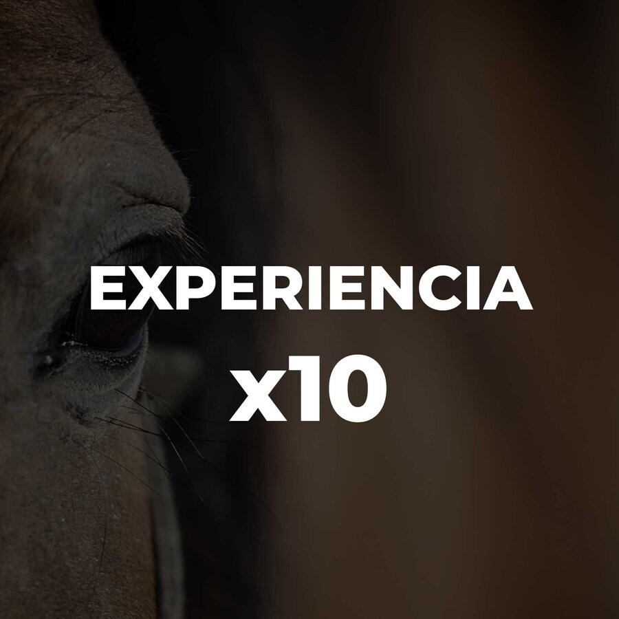EXPERIENCIA X10