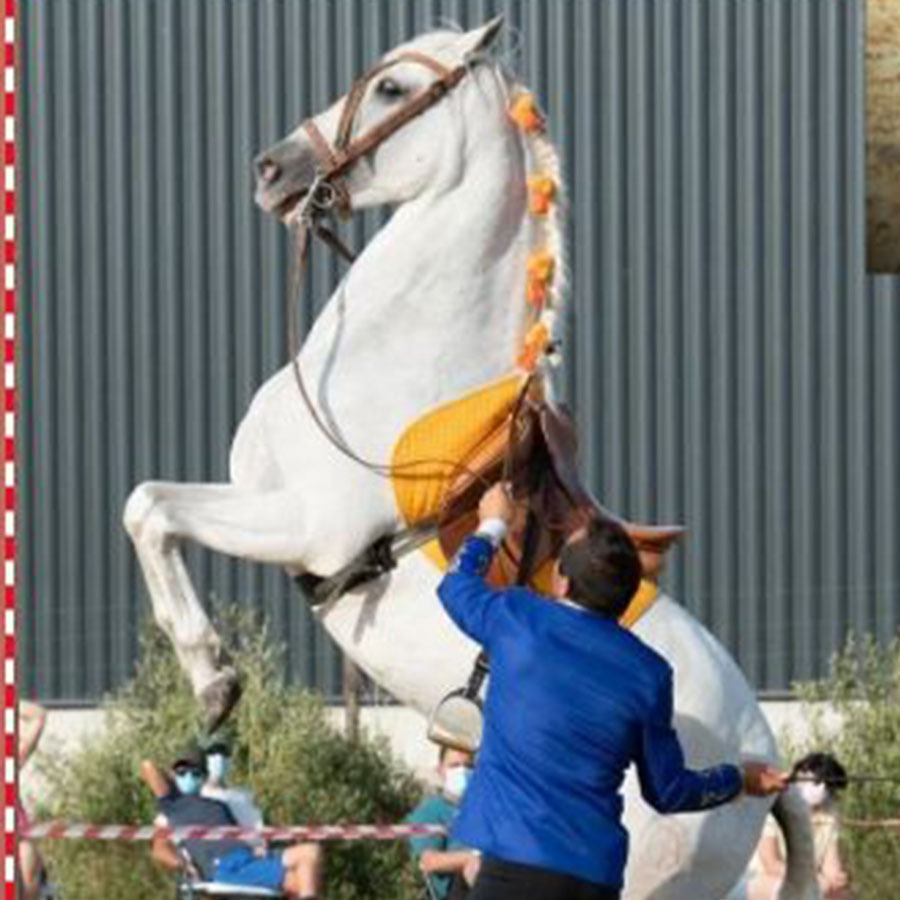 PRÁCTICA LIBERTAD SIN CABALLO